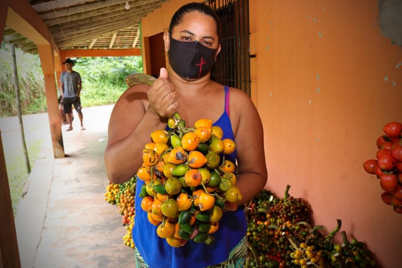 Colheita de alimentos - Programa Aquisição de Alimentos (PAA)