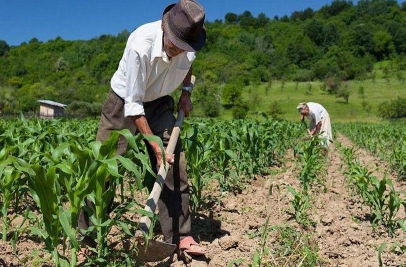 Avançar com a Agricultura e Abastecimento