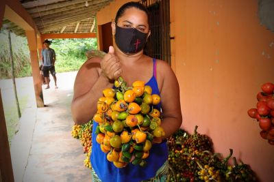 Colheita de alimentos do Plano de Aquisição de Alimentos (PAA)