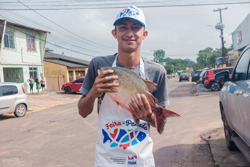 Feira do Peixe Vivo