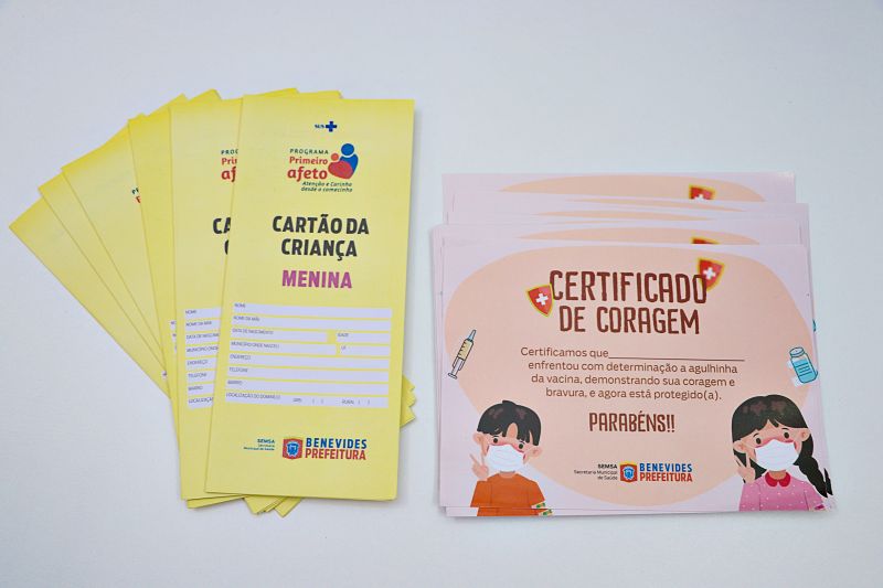 DIA D CAMPANHA DE VACINAÇÃO CONTRA INFLUENZA