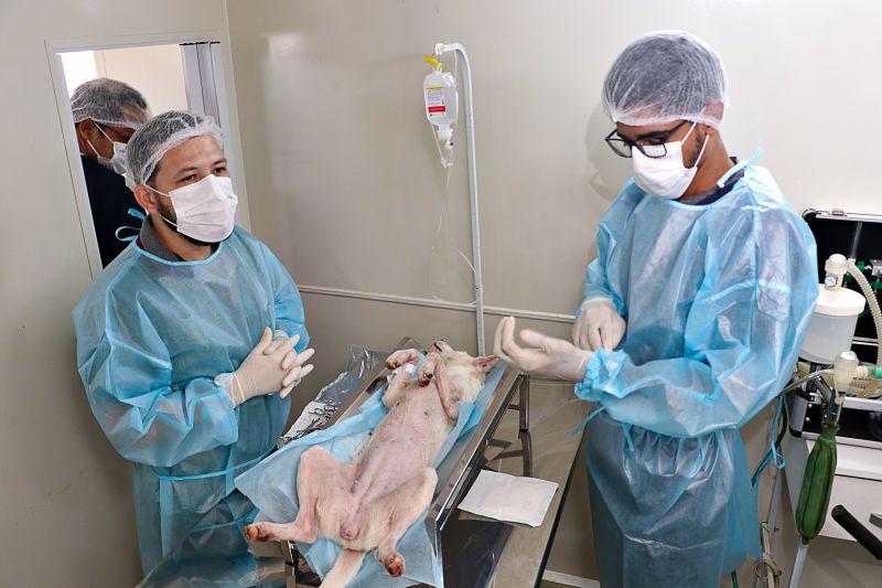 Ação Castra Móvel St Dumont 2