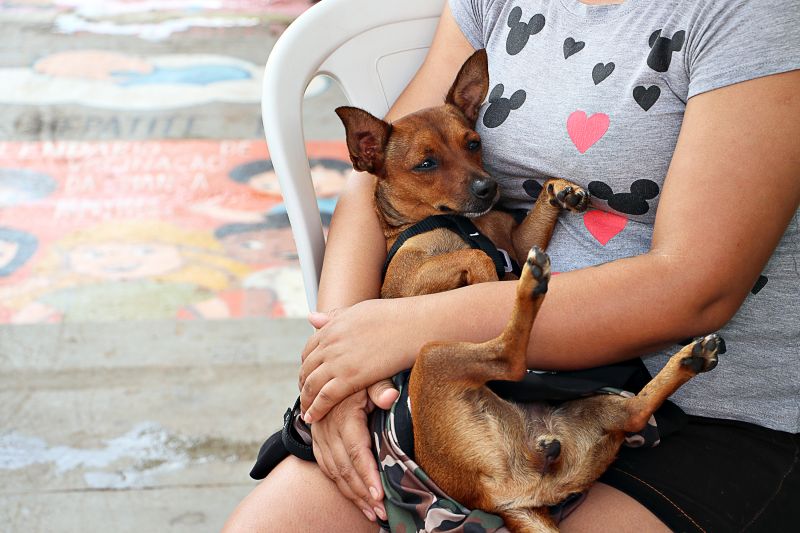 Ação Castra Móvel St Dumont 2