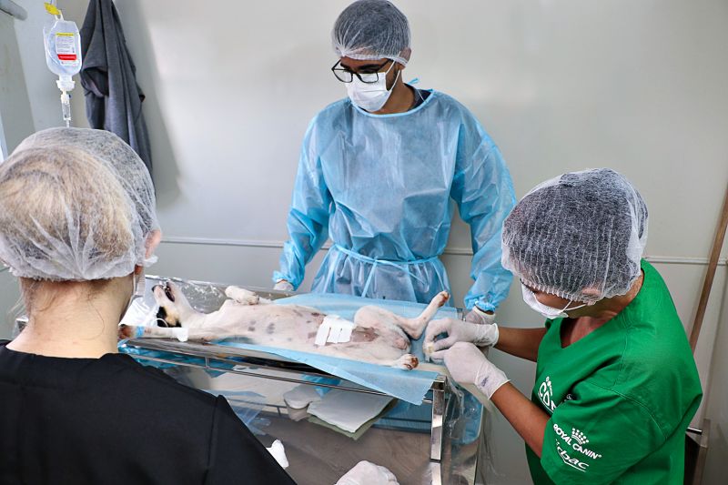 Ação Castra Móvel St Dumont 2