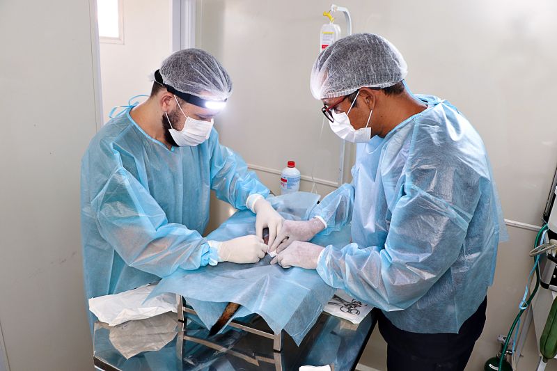 Ação Castra Móvel St Dumont 2