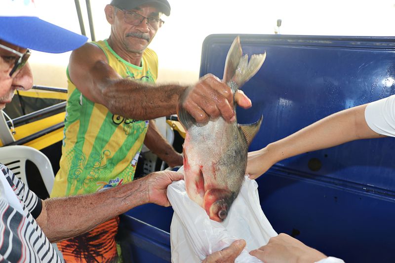 Feira do Pescado St Maria