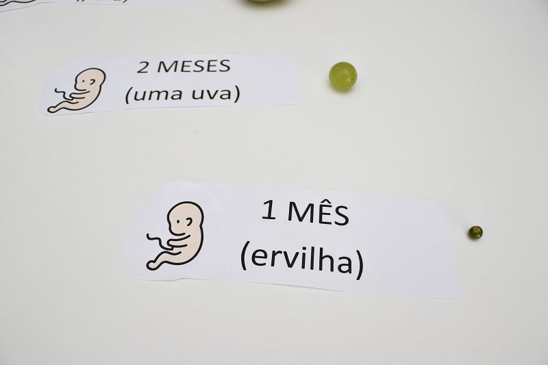 Primeira rodada de conversa -  Cras Primeira infância.