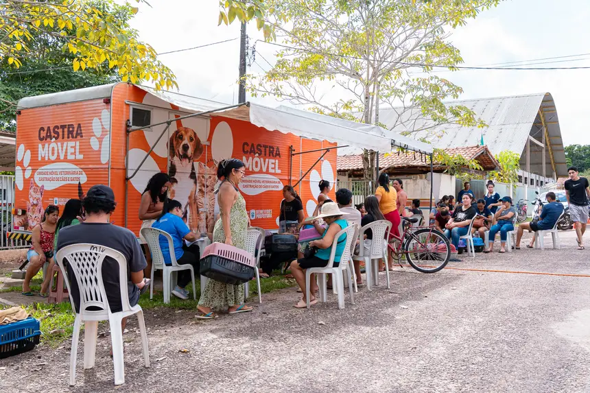 O Castra Móvel do setor de Zoonoses está no Bairro Independente, garantindo saúde animal e controle populacional para cães e gatos gratuitamente. 