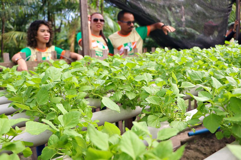ENCERRAMENTO DO SEMINÁRIO DE PLANEJAMENTO SEMAGRI - VISITA A PROPRIEDADE SO SR LUIZ