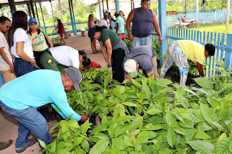 Oficina de Mandiocultura SEMAT