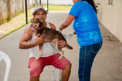 Benevides bate recorde histórico no 'Dia D' e protege mais de 9 mil cães e gatos contra a Raiva