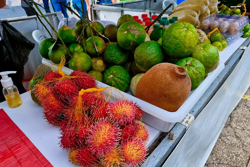 Feira do Pescado Benfica 2 dia