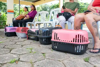 AÇÃO CASTRA MÓVEL - SEMAGRI (GATOS)