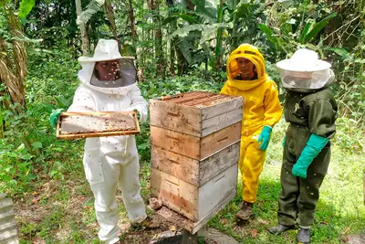 VISITA RECORD SEMAGRI MEL